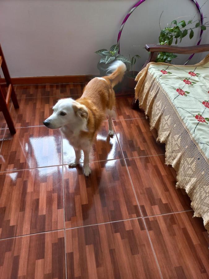 Quarto Individual Na Ary Parreiras Niterói Dış mekan fotoğraf